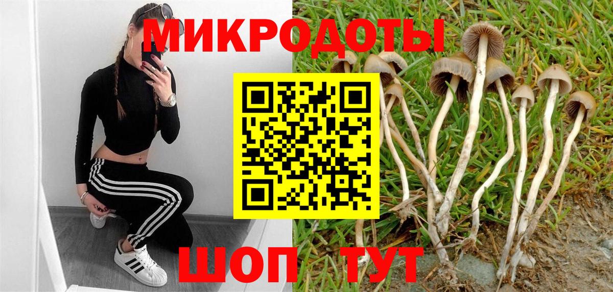 Фурманов  Галлюциногенные грибы GOLDEN TEACHER  Псилоцибиновые грибы мухоморы  Вход с VPN 